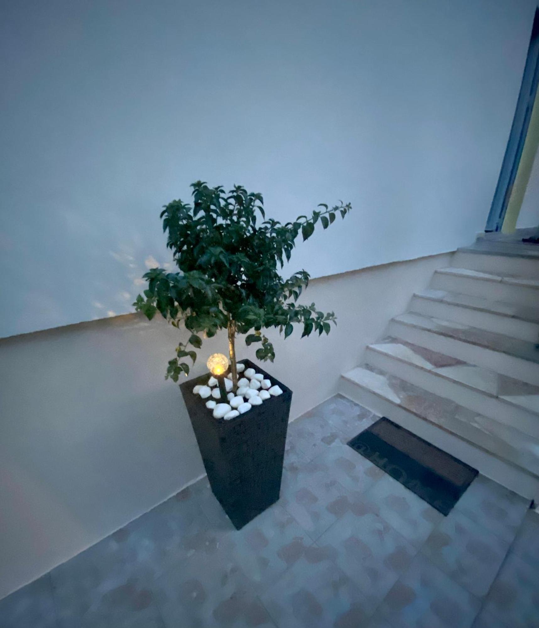 Lumar Holidays And Apartments Preko Exteriér fotografie